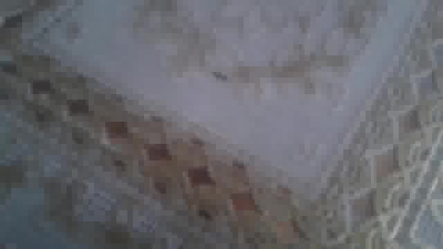 champions-in-christ-ministries